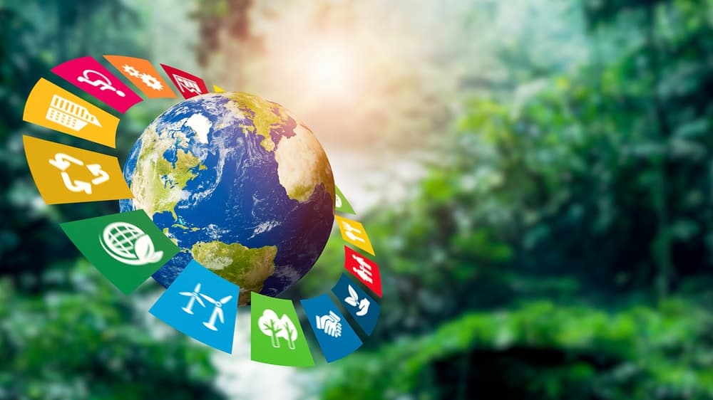 Children are a Key to the 17 SDGs