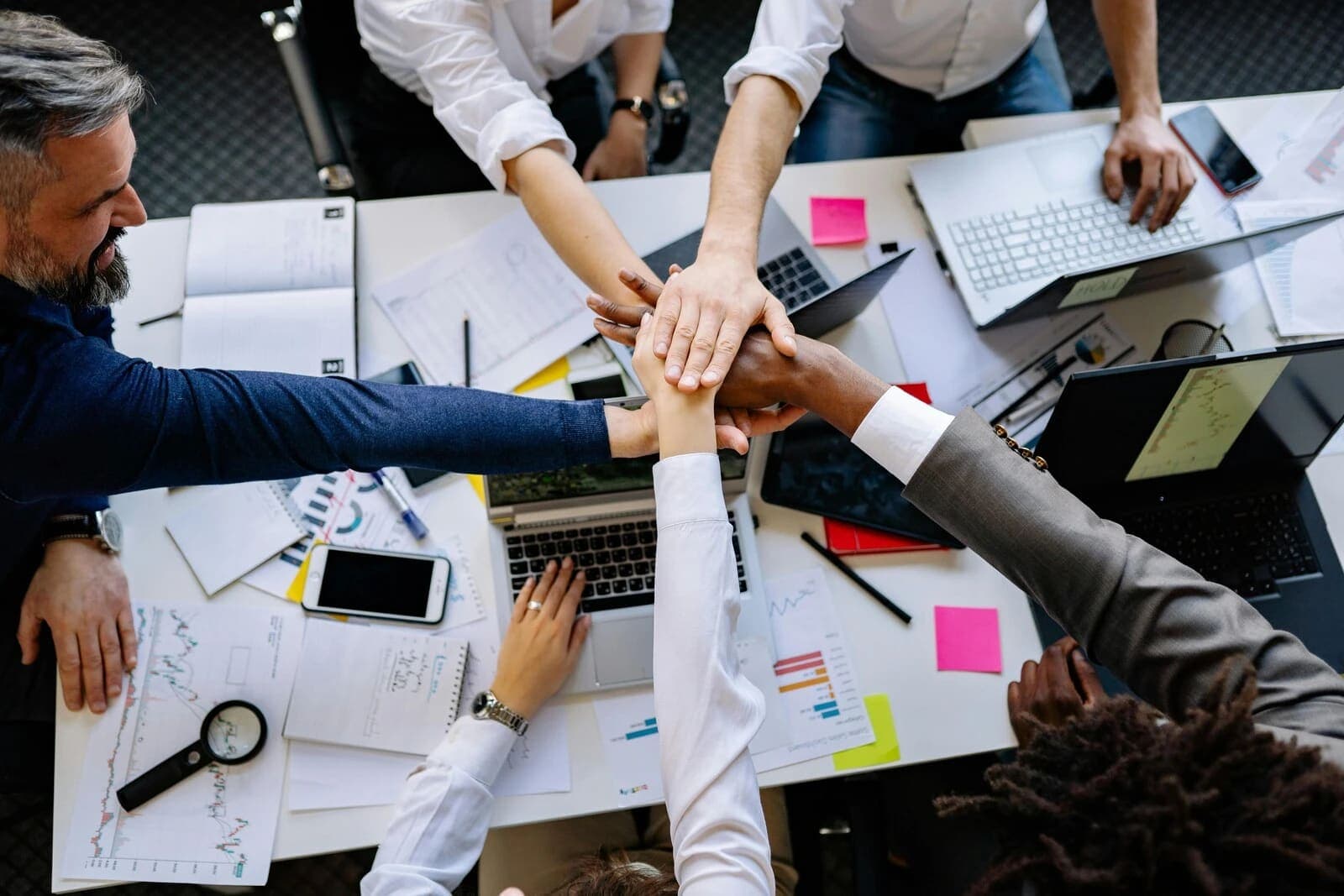 Stewardship